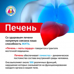 ������ ������������ ����������� ������, ������������ � �������������� ��� ������ � ��������� (28 ����) � �������� ����� ������ ������ � ���, ��� �������� ���� �������� ������ �����! 